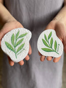 Plantish Compostable Pop up Sponge