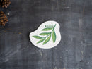 Plantish Compostable Pop up Sponge