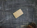 Plantish Eco Sponge