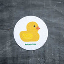 Plantish Compostable Pop up Sponge