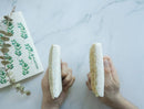 Plantish Eco Sponge