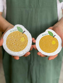 Plantish Compostable Pop up Sponge