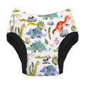 Thirsties Potty Training Pants