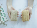 Plantish Eco Sponge