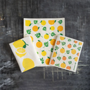 Plantish Dry Mat (XL Sponge Cloth) - Orange