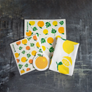 Plantish Dry Mat (XL Sponge Cloth) - Orange