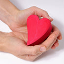 Grimm's Building Set Hearts