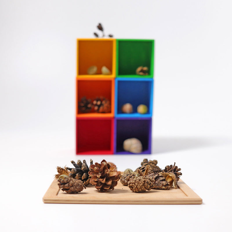Grimm's Sorting Helper, Small