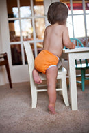 Thirsties One Size Pocket Diaper