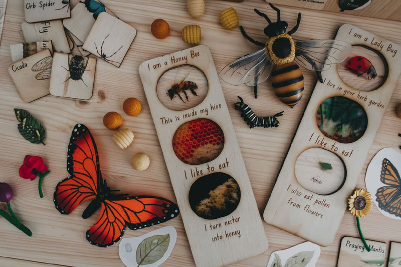 In the Garden Ecosystem