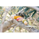 Grapat Wood Insects 18 pcs