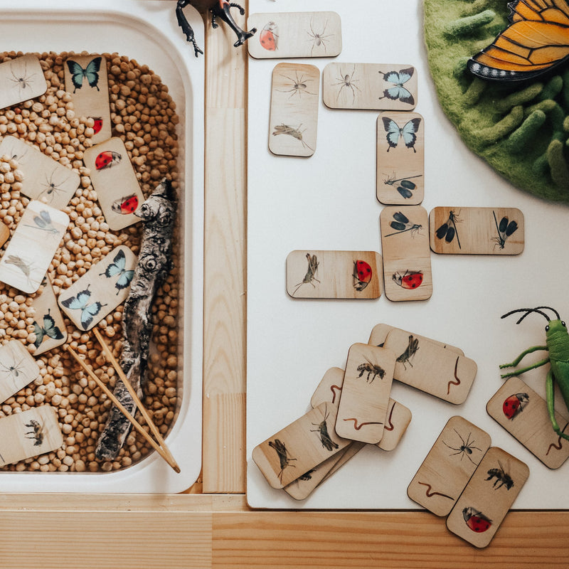 Wooden Dominos