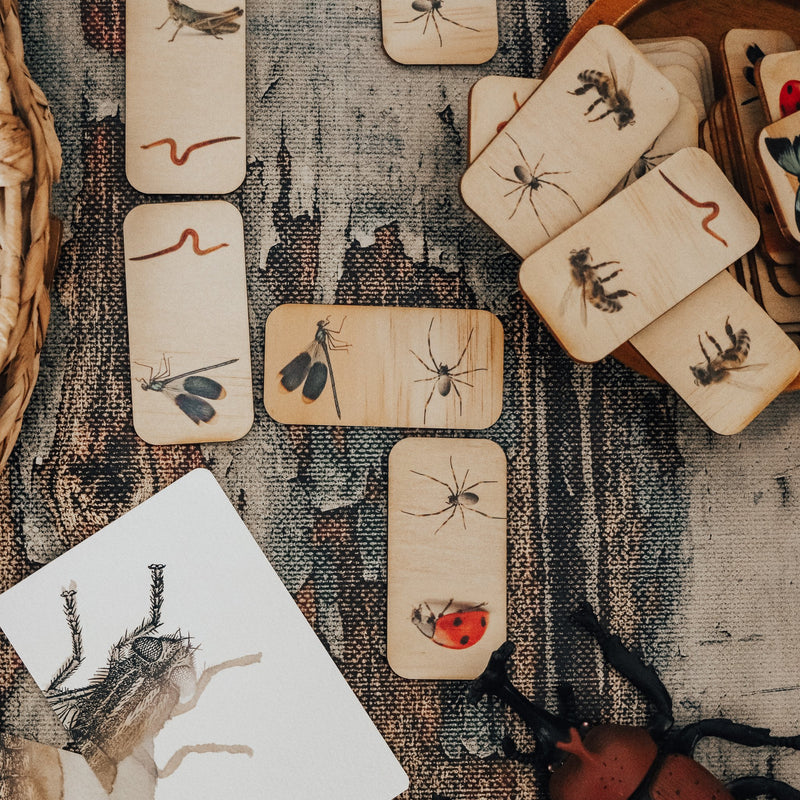 Wooden Dominos