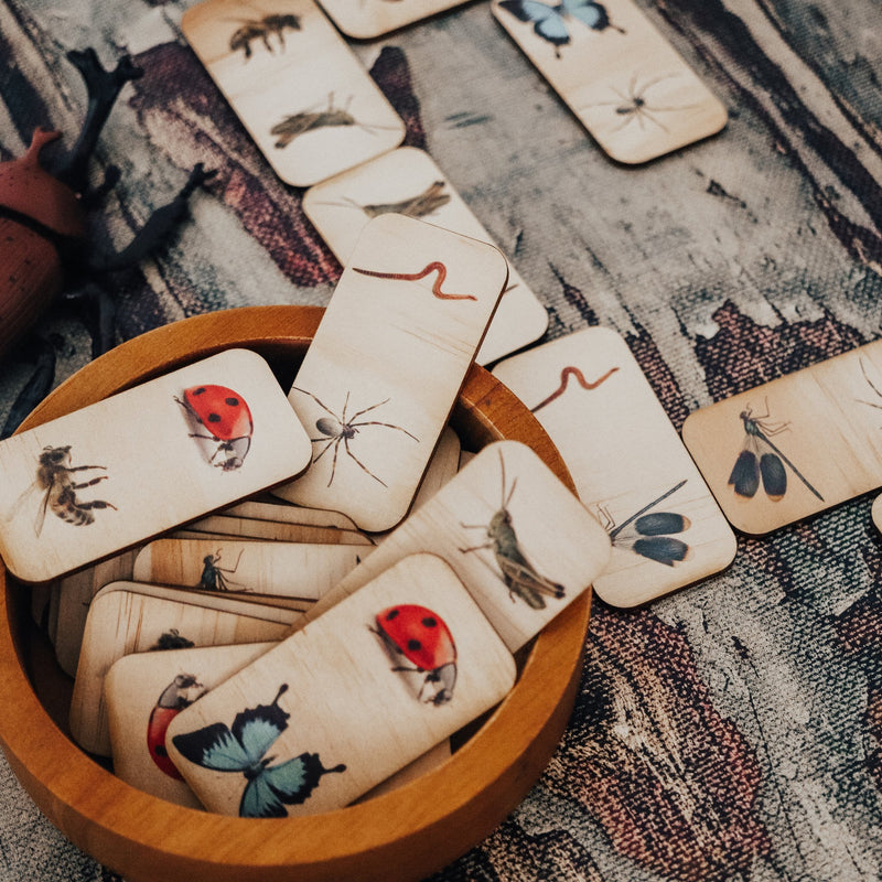 Wooden Dominos