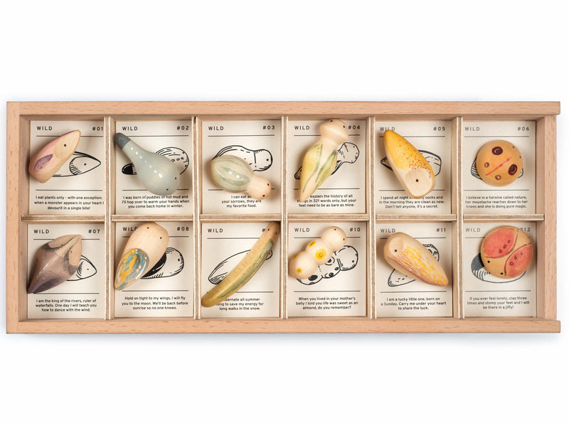 Grapat Wild, 12 pcs with tray