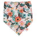Smart Bottoms Bandana Bibs