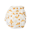 Smart Bottoms Dream Diaper 2.0