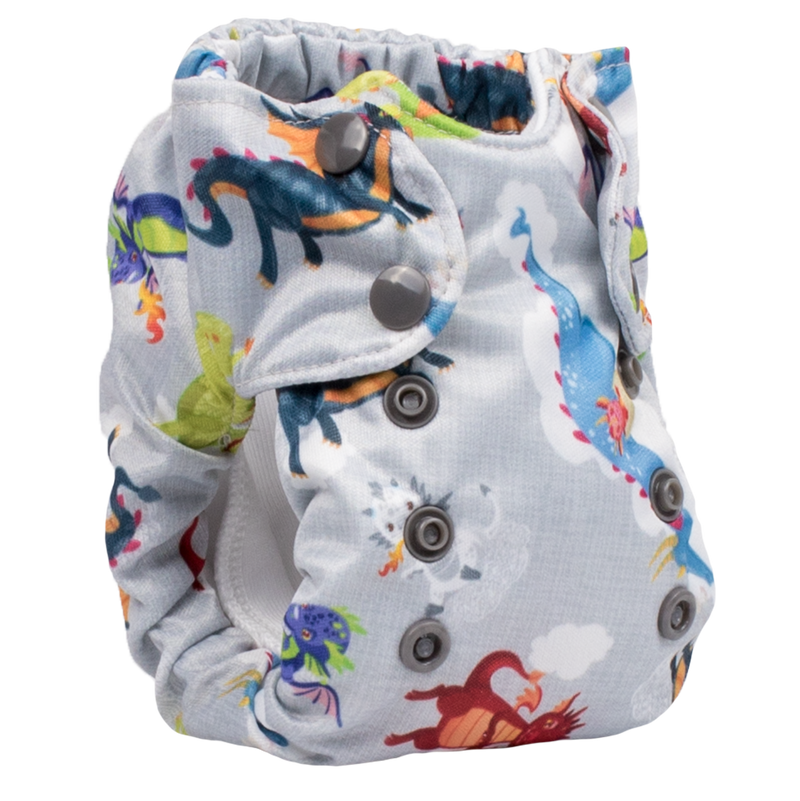 Smart Bottoms Born Smart 2.0 Newborn AIO