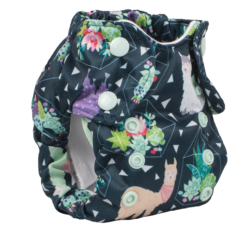 Smart Bottoms Born Smart 2.0 Newborn AIO