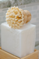 Casa Agave™ Dishwashing & Vegetable Hand Brush