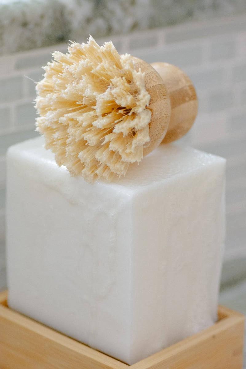 Casa Agave™ Dishwashing & Vegetable Hand Brush