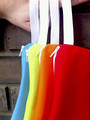 AppleCheeks MiniZip Storage Sac