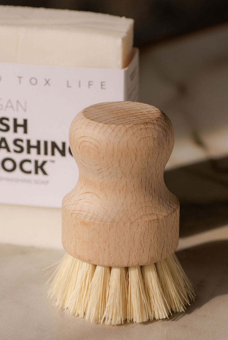 Casa Agave™ Dishwashing & Vegetable Hand Brush