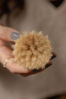 Casa Agave™ Dishwashing & Vegetable Hand Brush