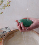 BKIND Konjac Sponge