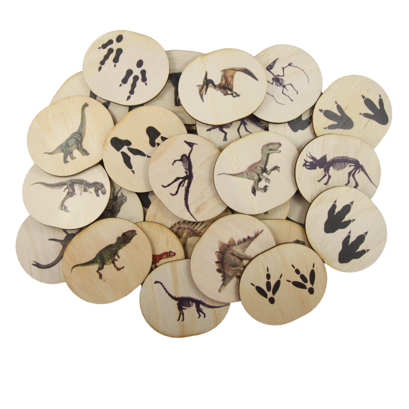 Dinosaur Magnets - 28 Pcs