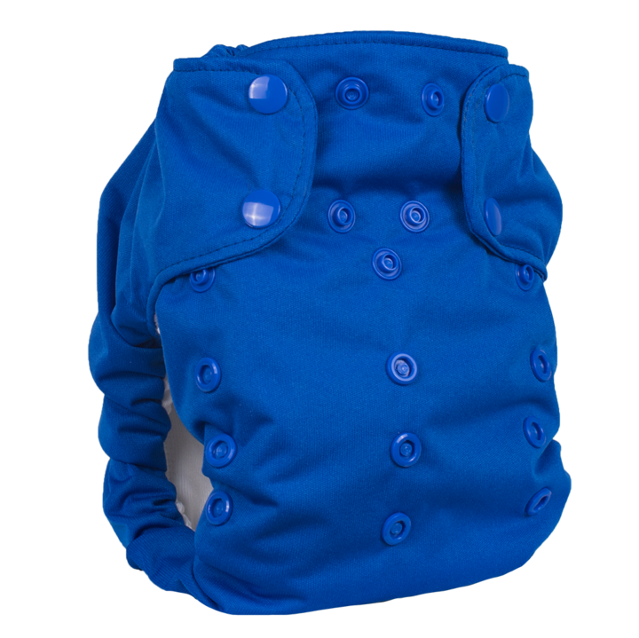 Smart Bottoms Dream Diaper 2.0