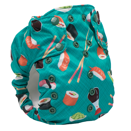 Smart Bottoms Dream Diaper 2.0