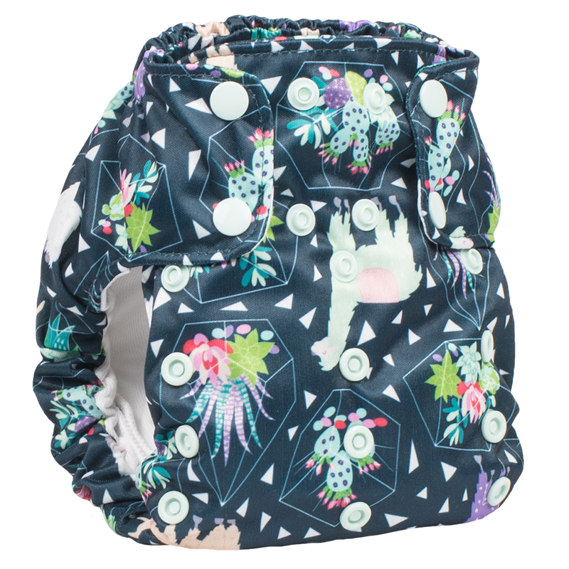 Smart Bottoms Dream Diaper 2.0