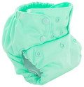 Smart Bottoms Dream Diaper 2.0