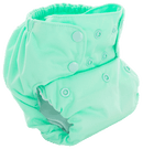 Smart Bottoms Dream Diaper 2.0