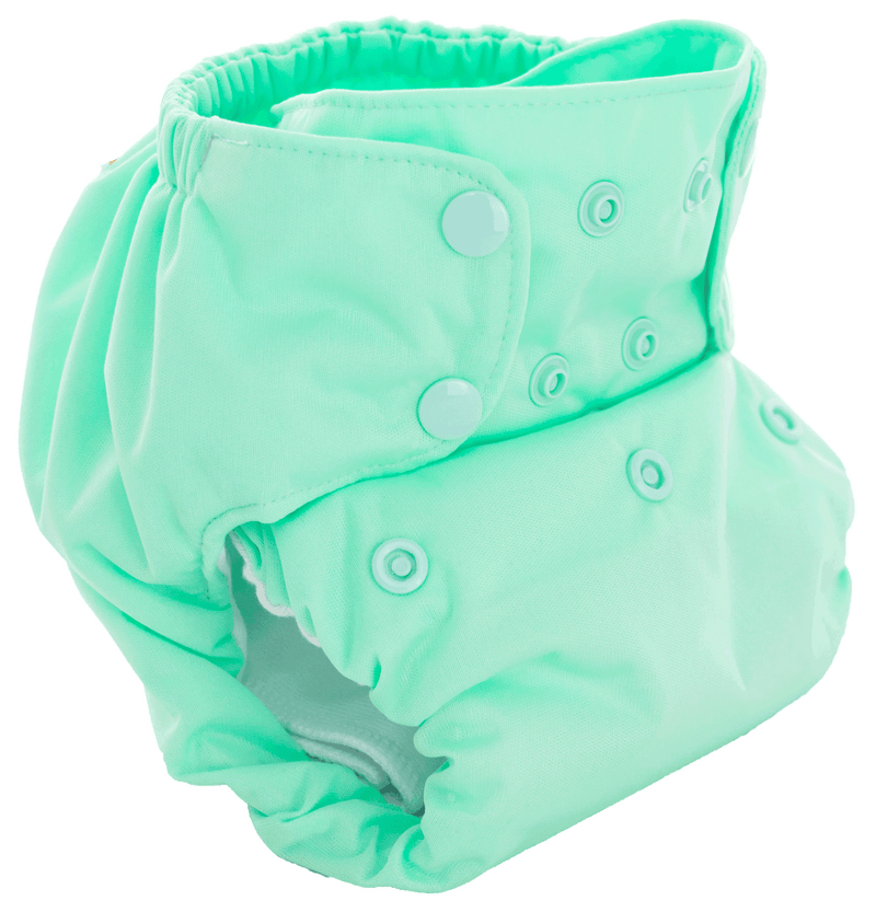 Smart Bottoms Dream Diaper 2.0