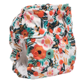Smart Bottoms Dream Diaper 2.0
