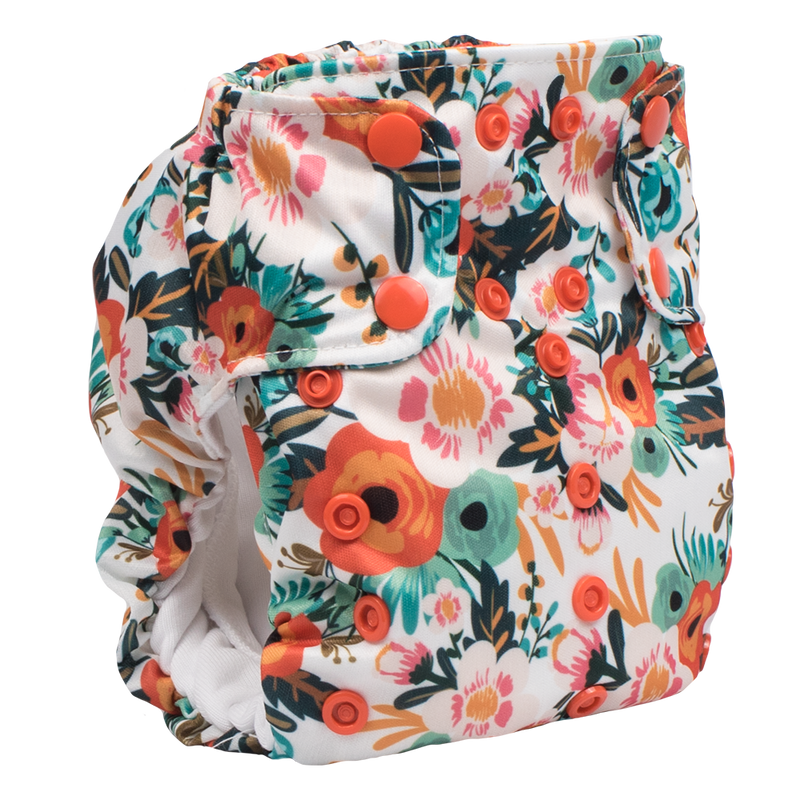 Smart Bottoms Dream Diaper 2.0