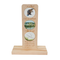 Canadian Animals Ecosystem