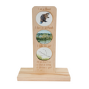 Canadian Animals Ecosystem