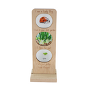 In the Garden Ecosystem