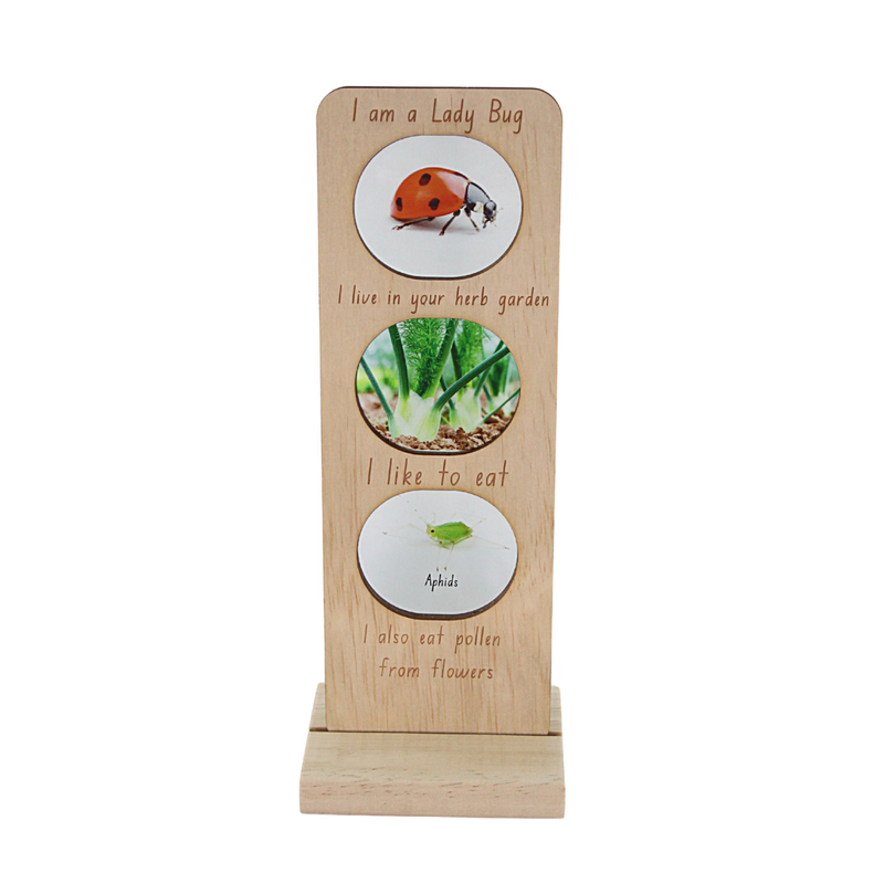 In the Garden Ecosystem
