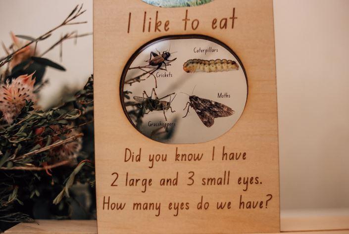 In the Garden Ecosystem