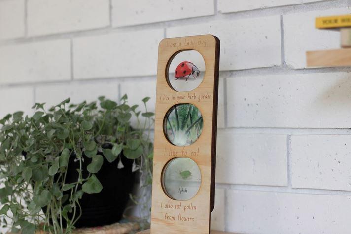 In the Garden Ecosystem
