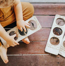 In the Garden Ecosystem