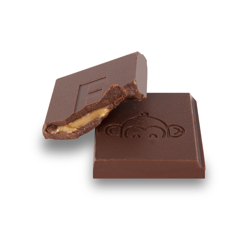 Evolved Hazelnut Butter Chocolate Bar