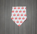 AppleCheeks Inspired Bandana Bibs