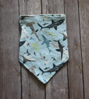 AppleCheeks Inspired Bandana Bibs