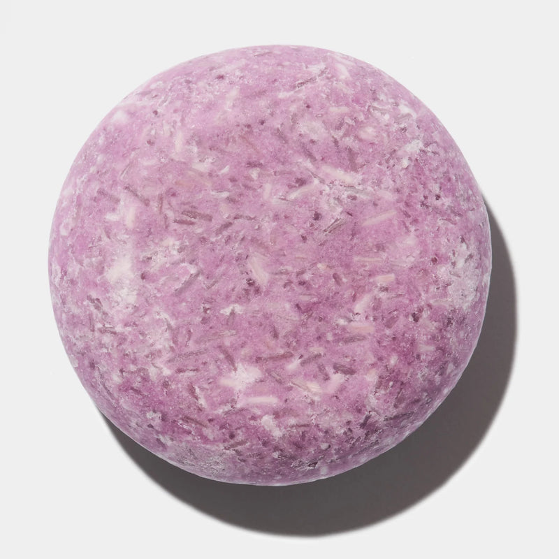Not!ce Hair Co. Shampoo & Conditioner Bars - Wanderlust Collection