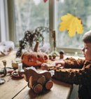 Kinderfeets Bamboo Push & Pull Animals